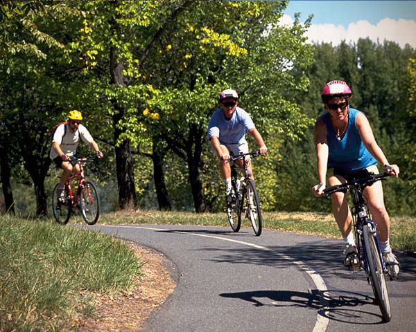 Road Touring Bicycle