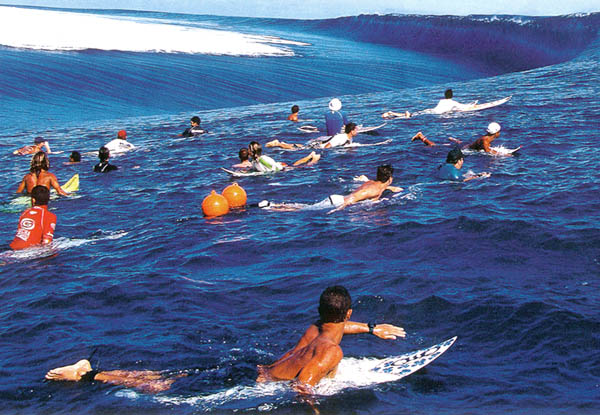 Surfing Lessons, What To Expect